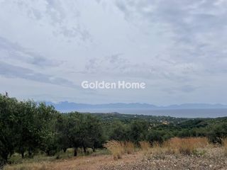 Αγροτεμάχια 10.268 τ.μ. για πώληση
