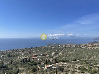Οικόπεδο 6.300 τ.μ. για πώληση