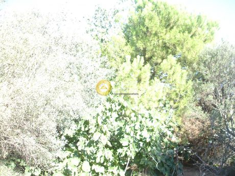 Land plot 2.000 sqm for sale