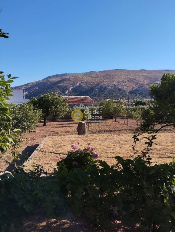 Μονοκατοικία 160 τ.μ. προς πώληση, Αρί