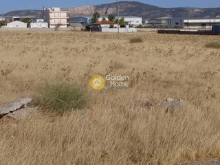 Οικόπεδο 10.896 τ.μ. πρός ενοικίαση, Αττική - Υπόλοιπο, Ασπρόπυργος-thumb-6