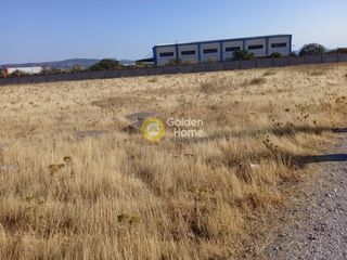 Οικόπεδο 10.896 τ.μ. πρός ενοικίαση, Αττική - Υπόλοιπο, Ασπρόπυργος-thumb-5