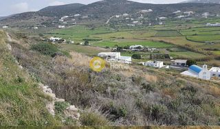 Αγροτεμάχια 8.558 τ.μ. για πώληση