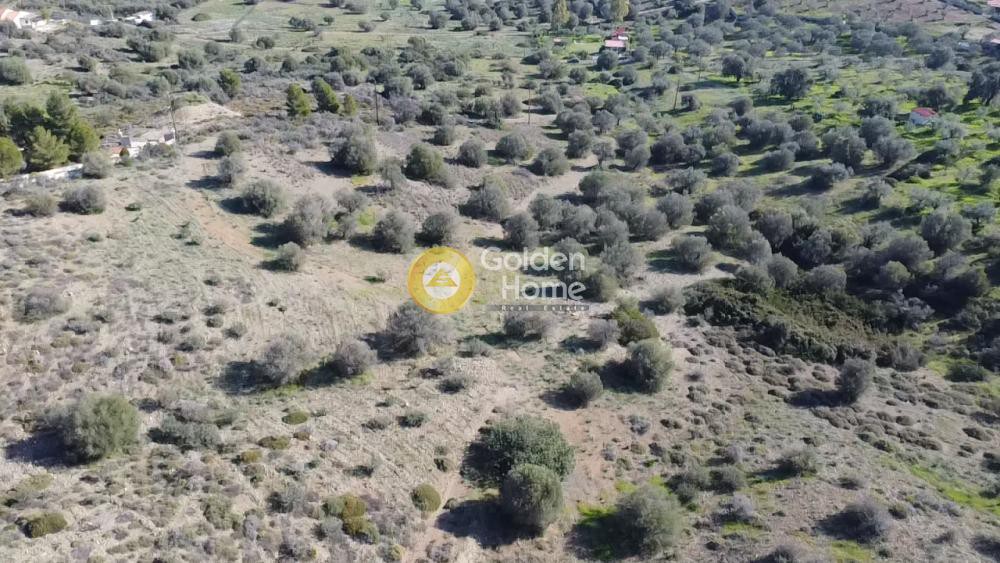Αγροτεμάχια 40.000 τ.μ. προς πώληση, Αργολίδα, Ερμιόνη