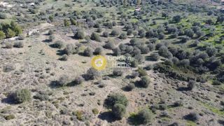 Αγροτεμάχια 40.000 τ.μ. για πώληση