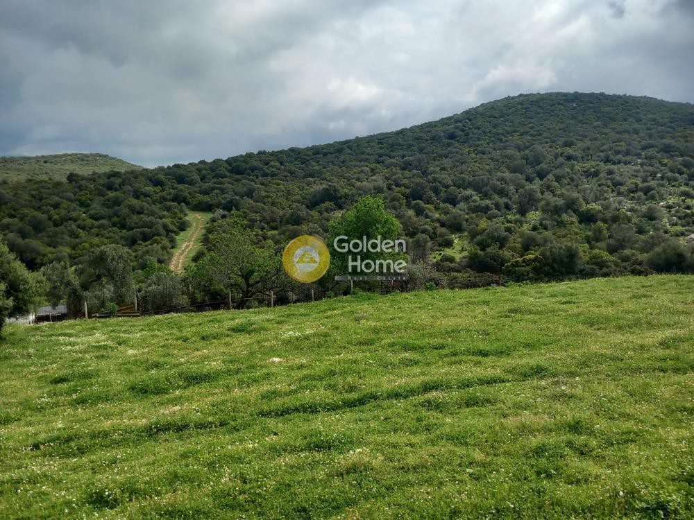 Αγροτεμάχια 5.058 τ.μ. προς πώληση, Κατακαλός