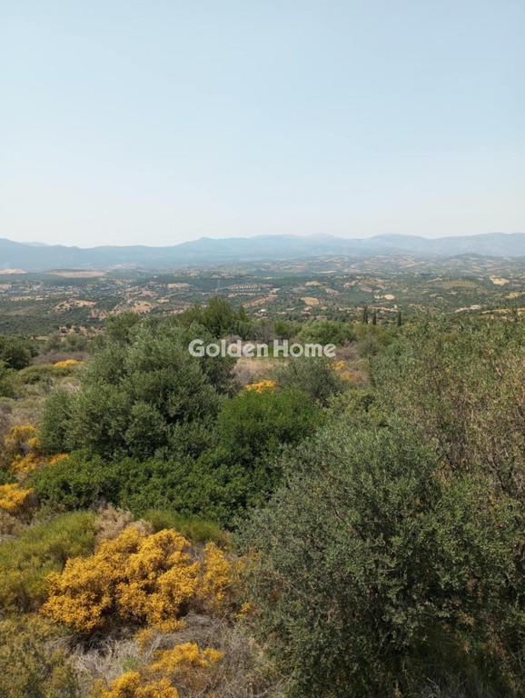 Αγροτεμάχια 5.058 τ.μ. προς πώληση, Κατακαλός