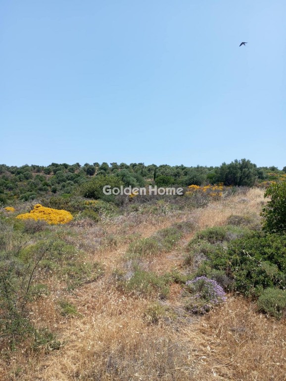 Αγροτεμάχια 5.058 τ.μ. προς πώληση, Κατακαλός