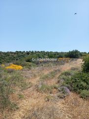 Αγροτεμάχια 5.058 τ.μ. για πώληση