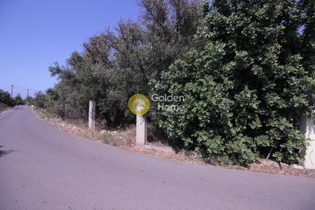 Land plot 5.000sqm for sale-Gouves » Moni Agiou Ioannoi Theologou