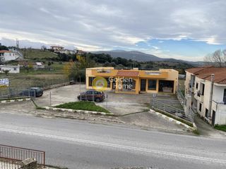 Κατάστημα 396 τ.μ. για ενοικίαση, Εύβοια, Δύστος-thumb-10