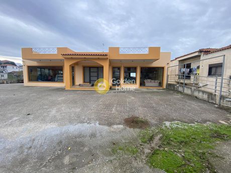 Store 396sqm for rent-Distos » Krieza