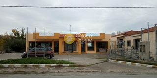 Κατάστημα 396 τ.μ. για ενοικίαση, Εύβοια, Δύστος-thumb-4