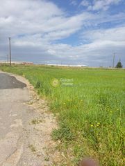Αγροτεμάχια 6.200 τ.μ. για πώληση