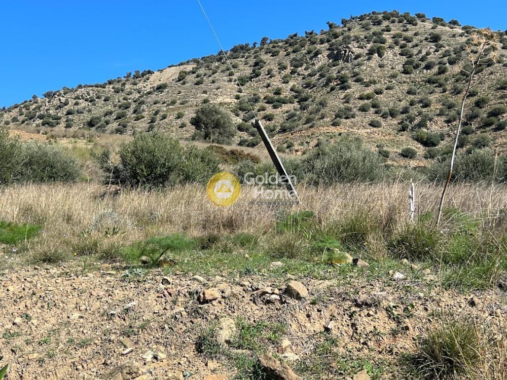 Οικόπεδο 4.000 τ.μ. πρός πώληση, Ν. Ρεθύμνου, Λάμπη