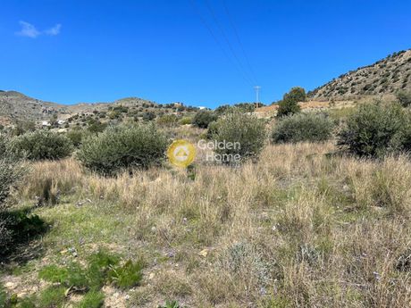Land plot 4.000sqm for sale-Lampi » Agios Georgios