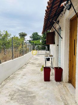 Land plot 314sqm for sale-Aegina » Livadi