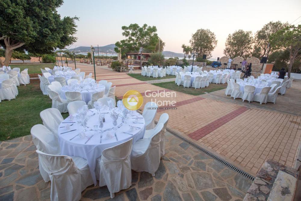 Οικόπεδο 17.000 τ.μ. προς πώληση, Πούντα Βοιών