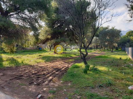Land plot 1.000sqm for sale-Nea Makri » Zoumperi