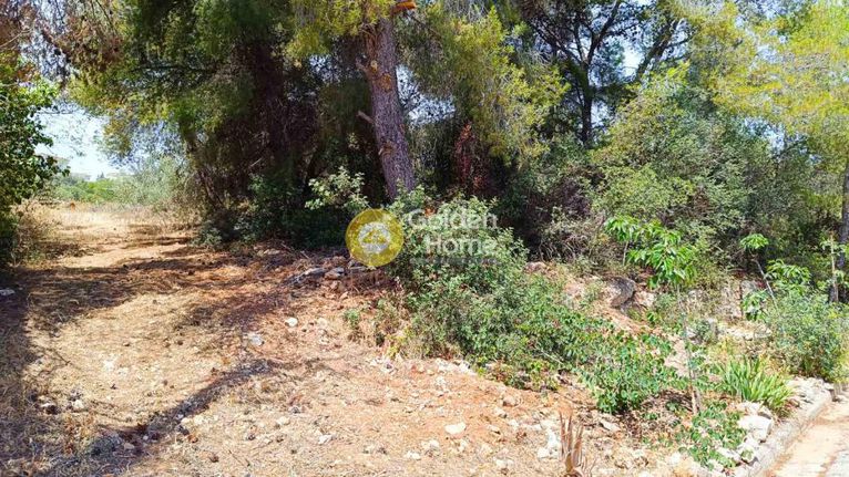 Land plot 4.065 sqm for sale, Phthiotis, Malesina