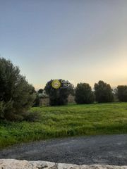 Οικόπεδο 2.000 τ.μ. για πώληση