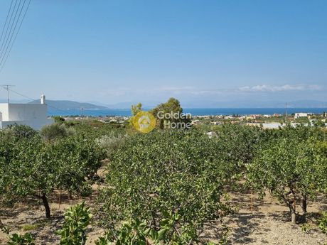 Οικόπεδο 2.627τ.μ. για πώληση-Αίγινα » Παγώνι