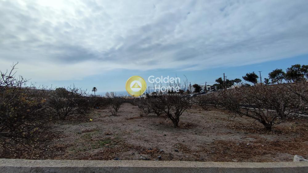 Οικόπεδο 2.700 τ.μ. προς πώληση, Θήρα