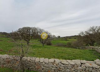 Αγροτεμάχια 10.864 τ.μ. για πώληση