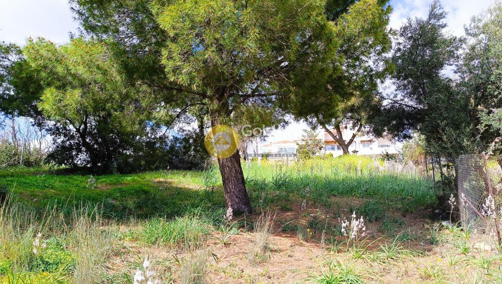 Οικόπεδο 700 τ.μ. προς πώληση, Κέντρο Πικερμίου