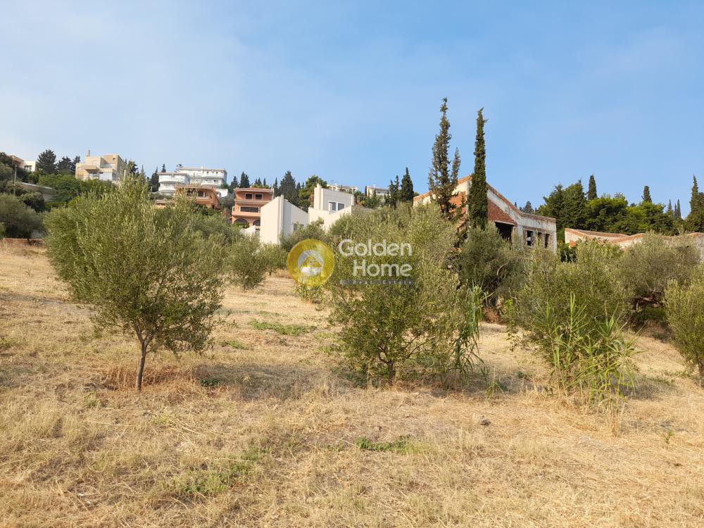 Οικόπεδο 3.731 τ.μ. προς πώληση, Μελίσσι Ξυλοκάστρου
