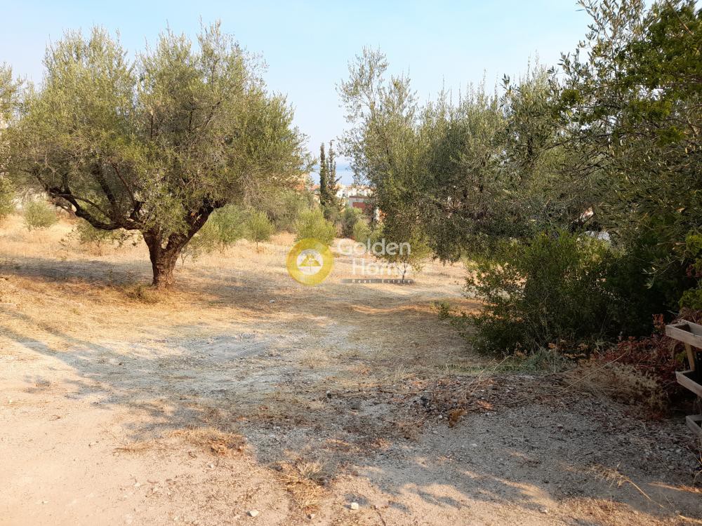 Οικόπεδο 3.731 τ.μ. προς πώληση, Μελίσσι Ξυλοκάστρου