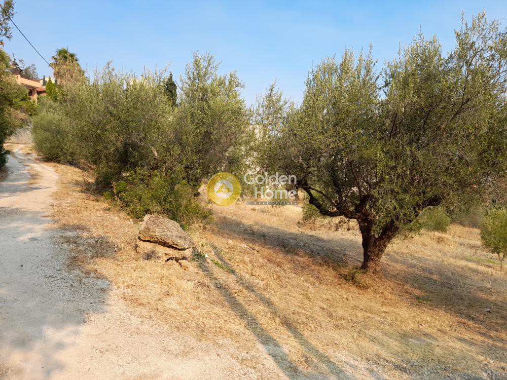 Οικόπεδο 3.731 τ.μ. προς πώληση, Μελίσσι Ξυλοκάστρου