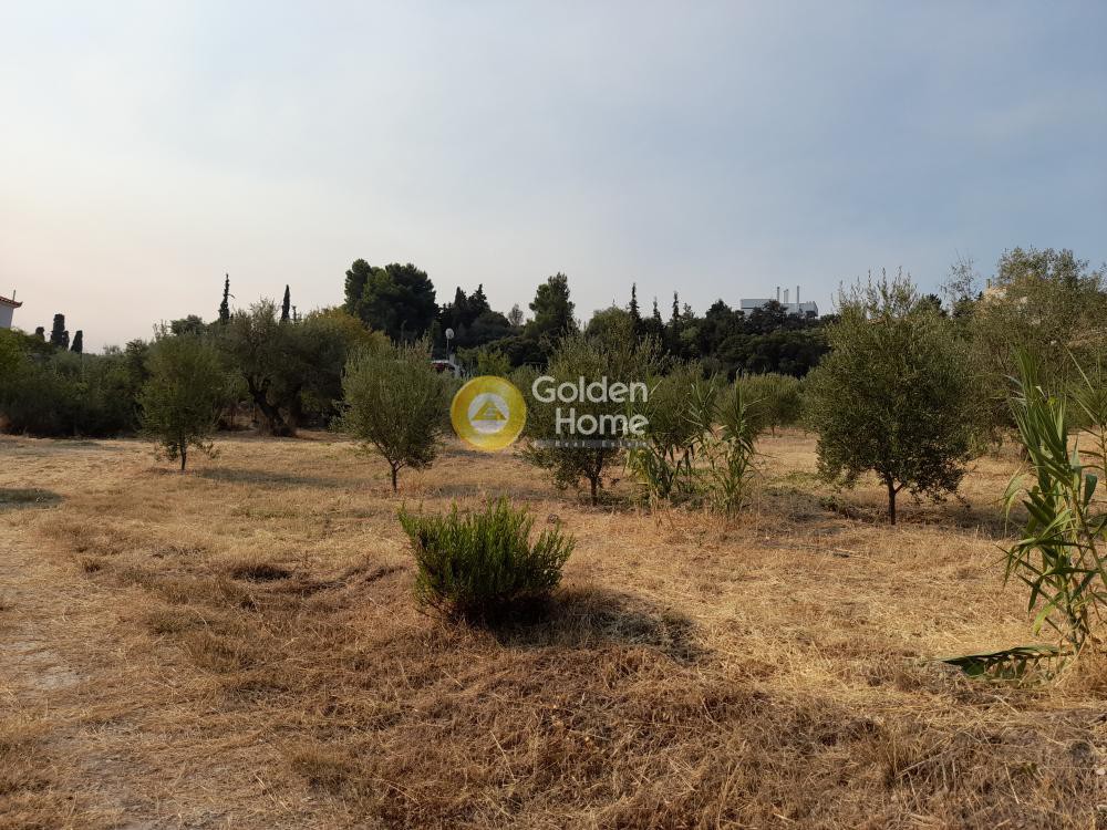 Οικόπεδο 3.731 τ.μ. προς πώληση, Μελίσσι Ξυλοκάστρου