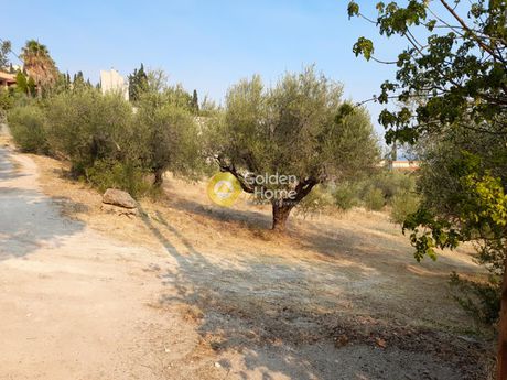 Land plot 3.731sqm for sale-Xilokastro » Melissi
