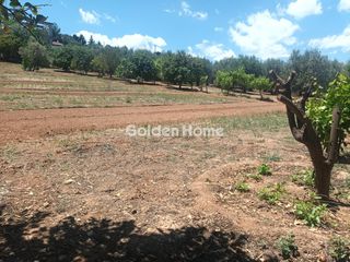 Κτίριο 355 τ.μ. για πώληση, Κορινθία, Βόχα-thumb-38