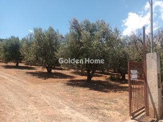 Κτίριο 355 τ.μ. για πώληση, Κορινθία, Βόχα-thumb-35