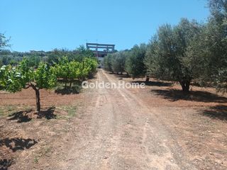Κτίριο 355 τ.μ. για πώληση, Κορινθία, Βόχα-thumb-37