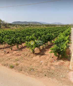 Parcel 6.000sqm for sale-Koropi » Karelas