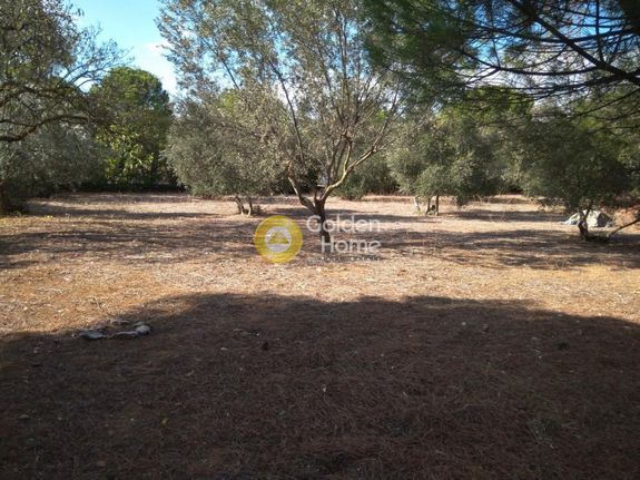Land plot 1.840 sqm for sale, Athens - North, Krioneri