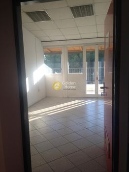 Office 284 sqm for rent