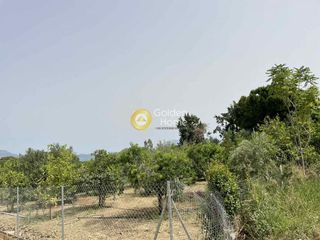 Οικόπεδο 1.950 τ.μ. για πώληση