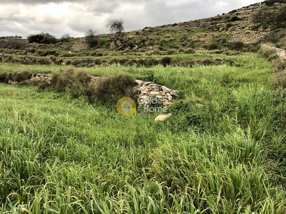 Αγροτεμάχια 4.362 τ.μ. προς πώληση, Κώστος