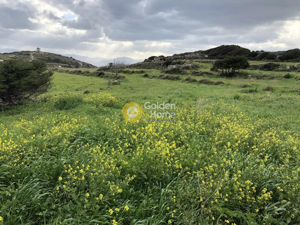 Αγροτεμάχια 4.362 τ.μ. προς πώληση, Κώστος