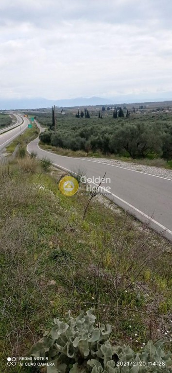 Οικόπεδο 10.000 τ.μ. πρός πώληση, Αιτωλοακαρνανία, Ιερά Πόλη Μεσολογγίου