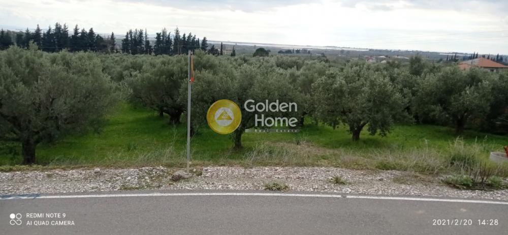 Οικόπεδο 10.000 τ.μ. πρός πώληση, Αιτωλοακαρνανία, Ιερά Πόλη Μεσολογγίου