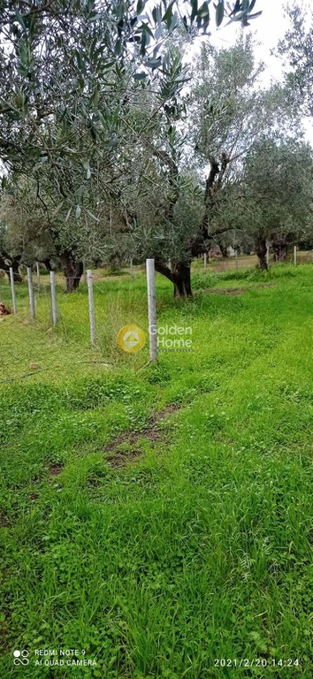 Οικόπεδο 10.000 τ.μ. πρός πώληση, Αιτωλοακαρνανία, Ιερά Πόλη Μεσολογγίου