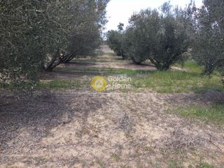 Οικόπεδο 1.948 τ.μ. πρός πώληση
