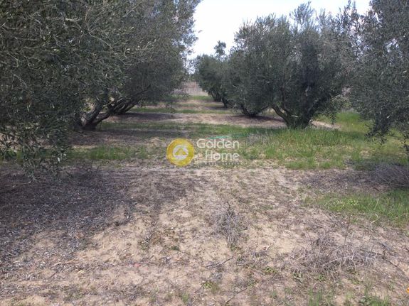 Land plot 1.948 sqm for sale, Chalkidiki, Kallikrateia