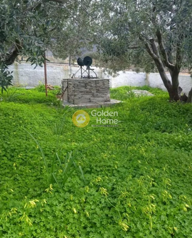 Μονοκατοικία 120 τ.μ. προς πώληση, Πηγαδάκια Καρύστου