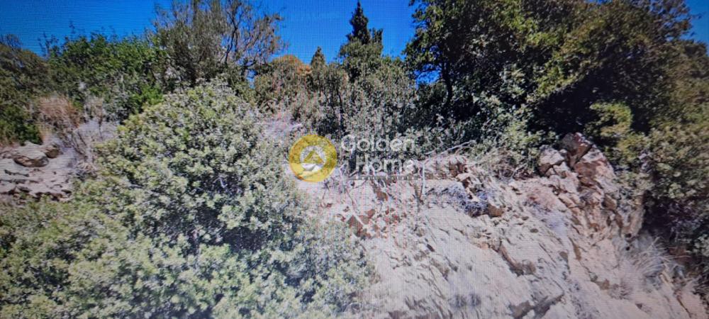 Οικόπεδο 9.750 τ.μ. προς πώληση, Χώρα Άνδρου